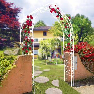 Metal Garden Arch