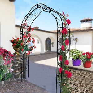 Metal Garden Arch with 8 Style Options