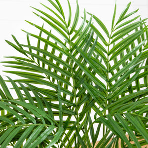 3' Areca Silk Palm Tree