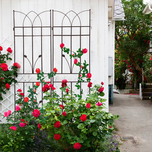 2 Pack Metal Garden Trellis