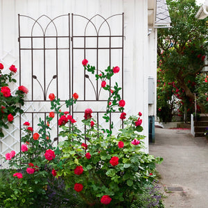 2 Pack Metal Garden Trellis