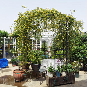 Metal Garden Arch Iron Garden Arbors Gazebo
