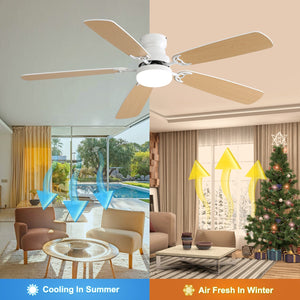Indoor Modern 52 Inch Ceiling Fan with 6-Speed Remote and LED Light