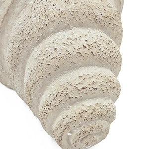 11.5x7x7' Sand and Cement Nautilus Shell Planter with Textured Beige Finish