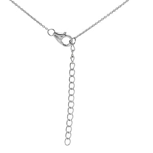 Sterling Silver Choice of Zodiac White Zircon & Black Enamel Pendant w/ Chain