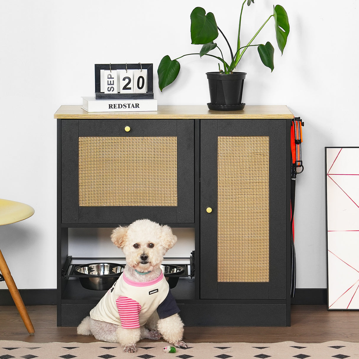 Feeding station with 2 lockers, pet feeding station with 2 elevated dog bowls, black