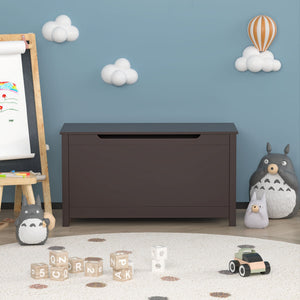 Toy Box Storage With Safety Hinged Lid