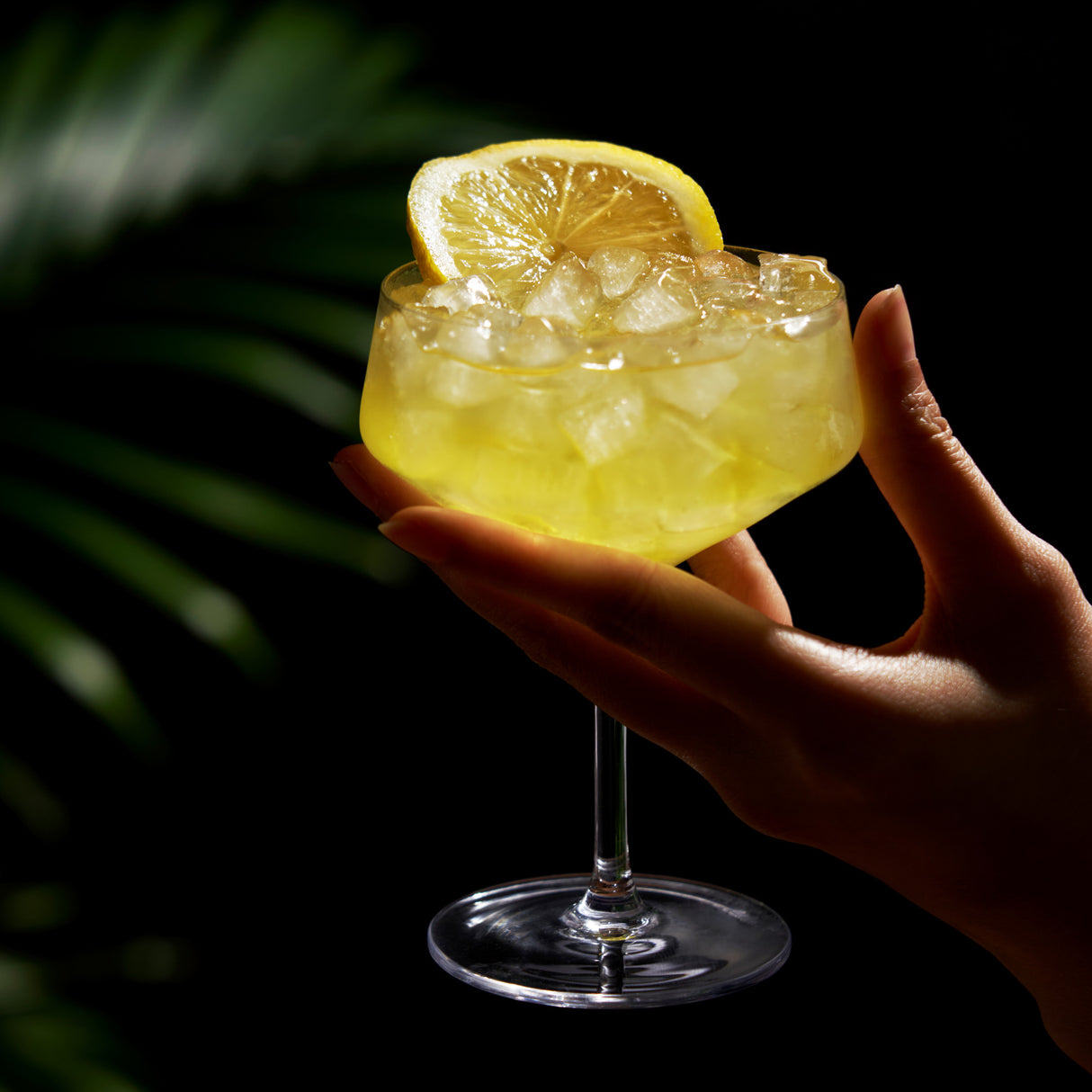 Raye Angled Crystal Coupe Glasses Viski®