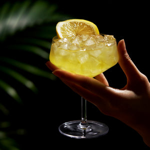 Raye Angled Crystal Coupe Glasses Viski®