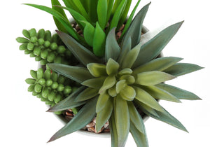 Artificial Succulent Plants (Set of 2)