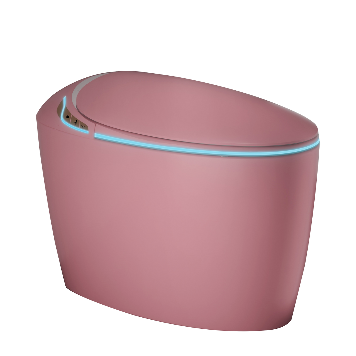 Unique Smart Toilet with Bidet Built-In