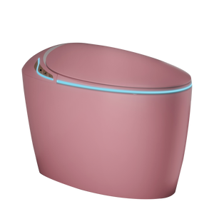 Unique Smart Toilet with Bidet Built-In