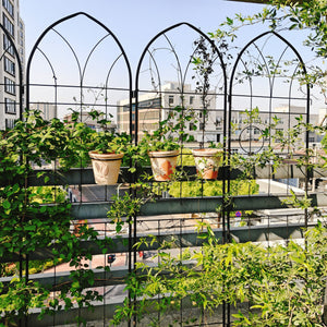 2 Pack Metal Garden Trellis 78.7" x 19.7"