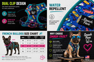 Totally Radical Reversible Dog Harness, Collar & Leash Set | Retro Gamer & Surf Skate Print | French Bulldog Harness