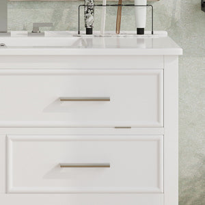 Bathroom Vanity With Ceramic Sink, Tip Out Tray & 2 Full Extension Drawers