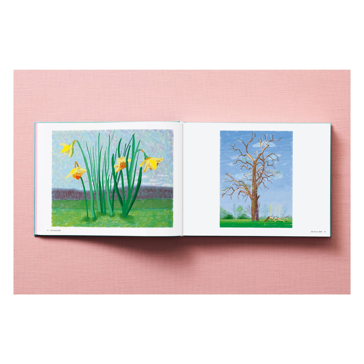 David Hockney. 220 for 2020 (English)