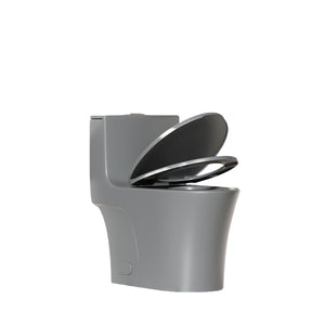 1 Piece Toilet With Dual Flush And Soft Closing Seat