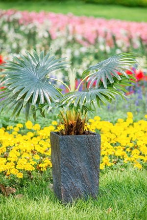 9.4x9.4x18.1" Cement Planter Large
