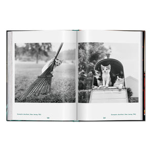 Walter Chandoha. Cats. Photographs 1942–2018 (English)