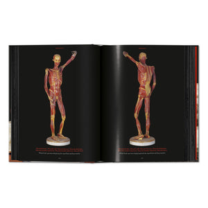 Anatomical Waxes. 45th Ed. (German, French, English)
