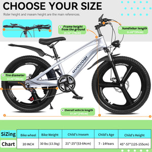 20 Inch Kids Mountain Bike