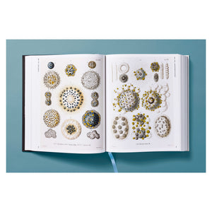 The Art and Science of Ernst Haeckel (German, French, English)
