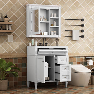 Bathroom Vanity With Top Sink, Storage Cabinet With 2 Drawers And Tip Out Drawer, Freestanding Set With Mirror Cabinet