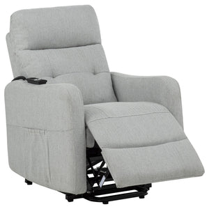 Dayes Upholstered Power Lift Recliner Chair Light Grey