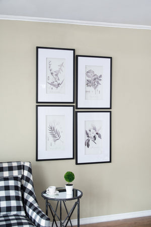 Verdura Botanica: Four-Print Houseplant Pencil Art Set