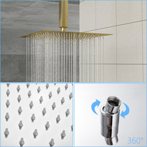 Dual Shower Head System with Ceiling Mount and Rough-In Valve - Pearl Silver, Black, or Gold