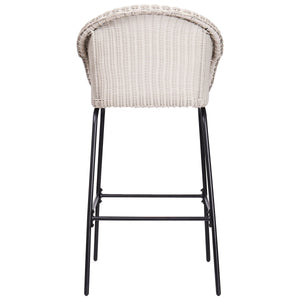 Ladd Outdoor Metal Wicker Barstool Set of 2 - Light Gray
