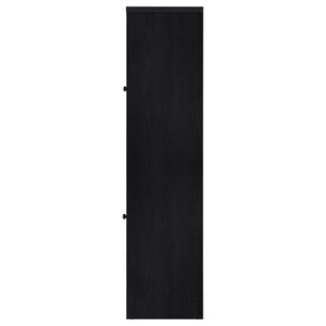 Denison 67-inch 2-door Media Tower Storage Cabinet Black