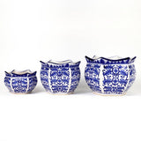 Blue and white spring blossom planter set