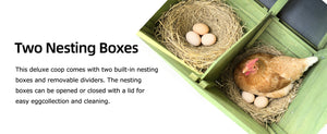 70" Automatic Chicken Coop with Solar-Powered Door - Green