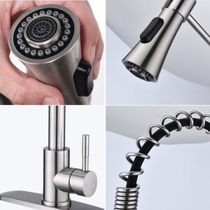 Modern Single Handle Spring High Arc Kitchen Faucet With Water Filter System