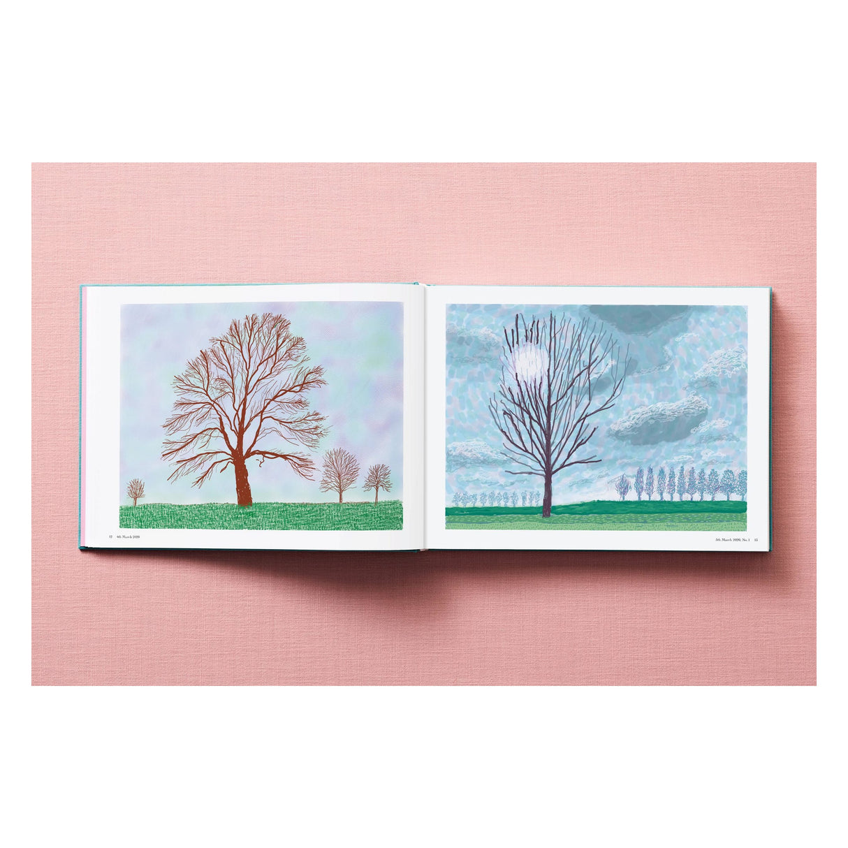 David Hockney. 220 for 2020 (English)