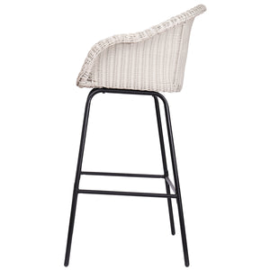 Ladd Outdoor Metal Wicker Barstool Set of 2 - Light Gray