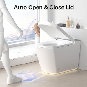 Modern Integrated Smart Toilet