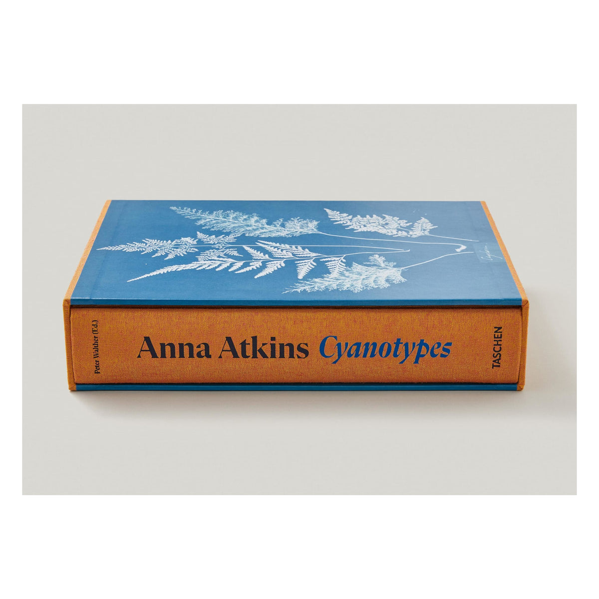 Anna Atkins. Cyanotypes (German, French, English) (FFE)