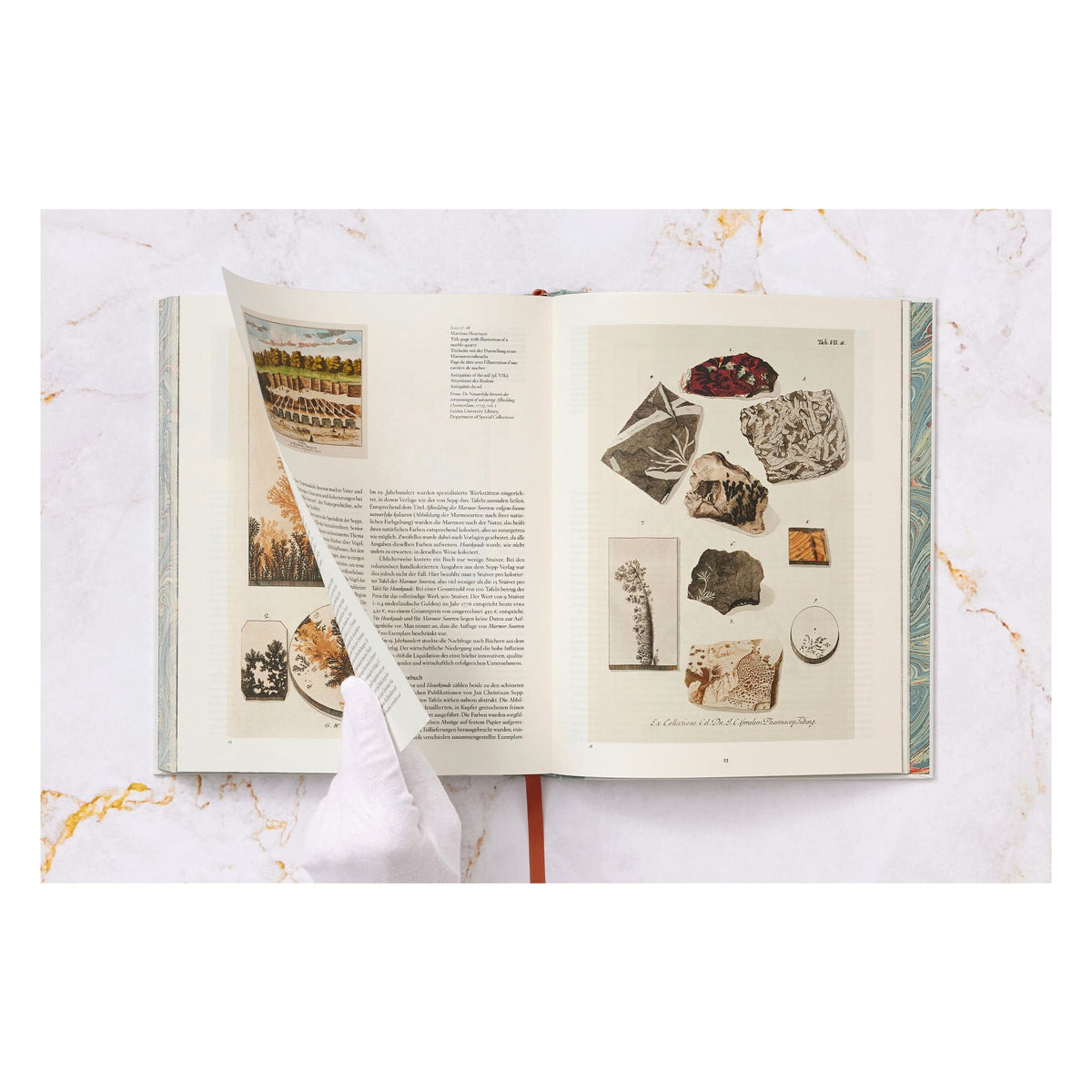 Jan Christiaan Sepp. The Book of Marble (German, French, English) (FFE)
