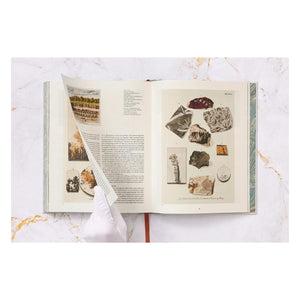 Jan Christiaan Sepp. The Book of Marble (German, French, English) (FFE)