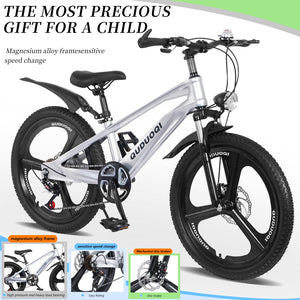 20 Inch Kids Mountain Bike