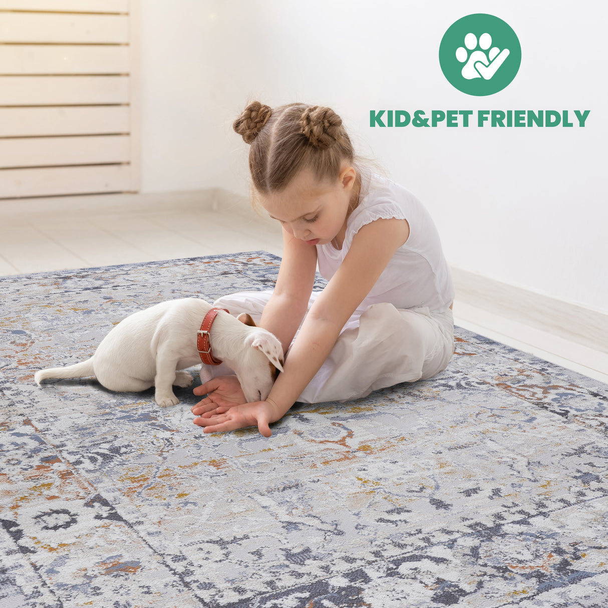 NAAR PAYAS Traditional Non-Shedding and Stain Resistant Area Rug
