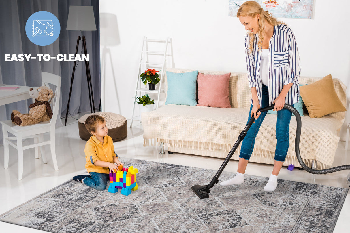 NAAR PAYAS Traditional Non-Shedding and Stain Resistant Area Rug