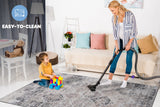 NAAR PAYAS Traditional Non-Shedding and Stain Resistant Area Rug