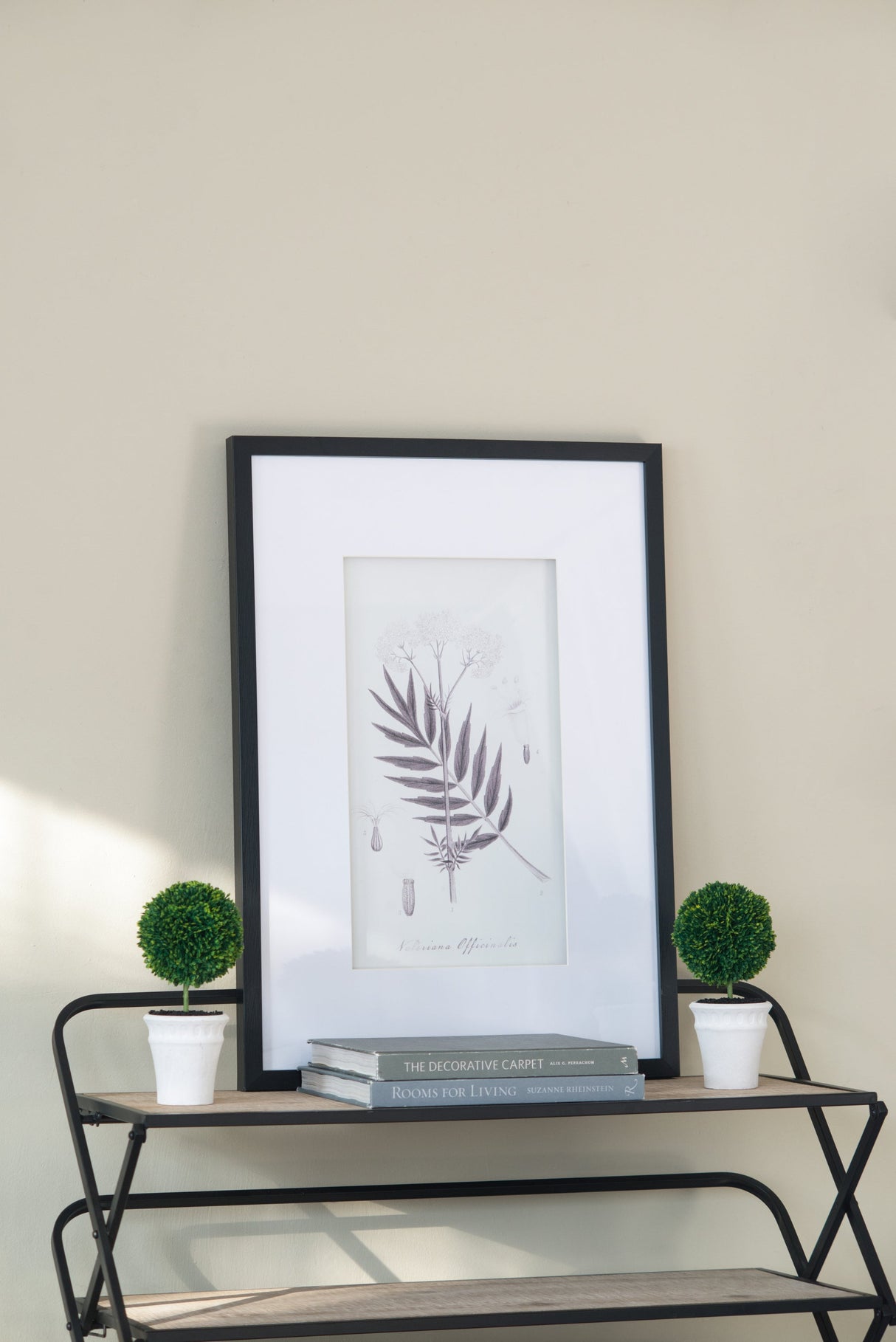 Verdura Botanica: Four-Print Houseplant Pencil Art Set