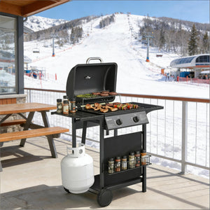 Handy BBQ Grill Gas Grill Outdoor Grill