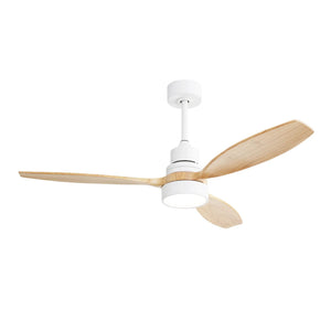 Indoor Ceiling Fan With Dimmable LED Light, 6-Speed Remote Control, LED DC Motor, Reversible Blades