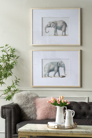23.6x31.5" Fake Elephant Pencil Drawings, Set of 2