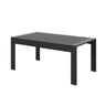 Modern Rectangle Outdoor Coffee Table